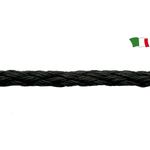 Saula-flotoare-neagra
