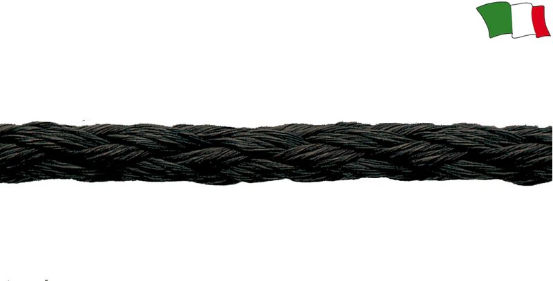 Saula-flotoare-neagra