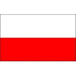 Steag-Polonia