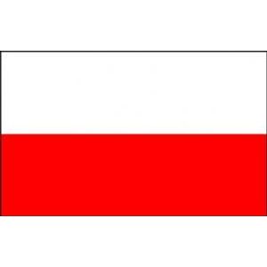 Steag Polonia