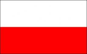 Steag-Polonia