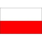 Steag-Polonia