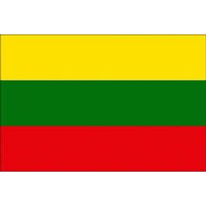 Steag Lituania