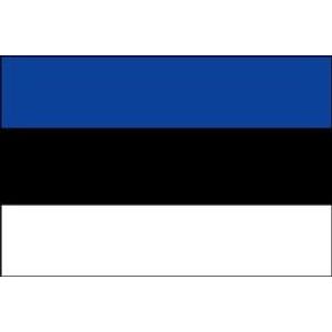 Steag Estonia