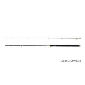 Lanseta Delphin Murena 2.70m 100g 2buc