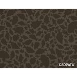 Delphin-Area-COOL-Carpath