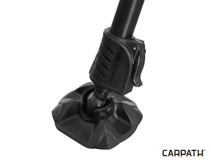 Delphin-RSC-Carpath