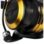 Mulineta-Black-Cat-Passion-Pro-6100-FD