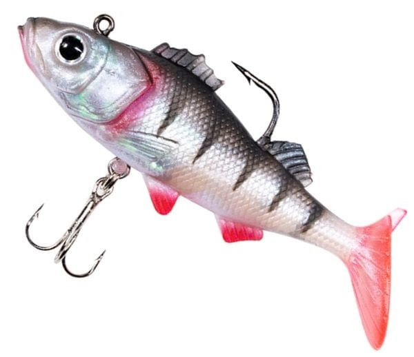 shad_energoteam_et_wizard_biban_6cm