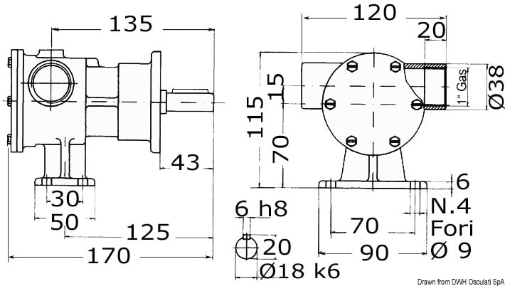 1010019593