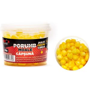 Porumb pentru Carlig Senzor Planet 60g