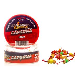Sandwich Senzor Planet Floricele Crap Mini 10buc/borcan
