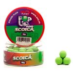 scoica_1