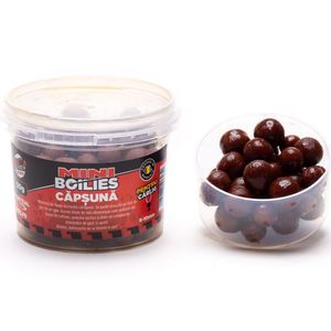 Boilies Dipuit Senzor Planet Feeder 8-10mm 50g