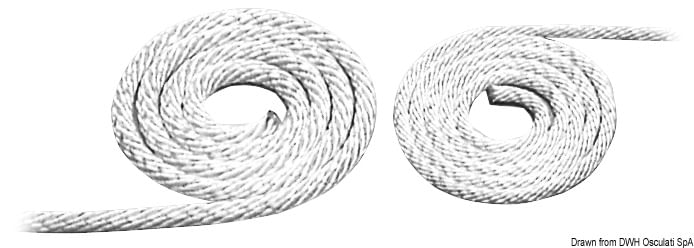 1010030061