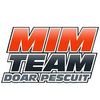 Mimteam