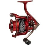mulineta_benzar_feeder-match_4500
